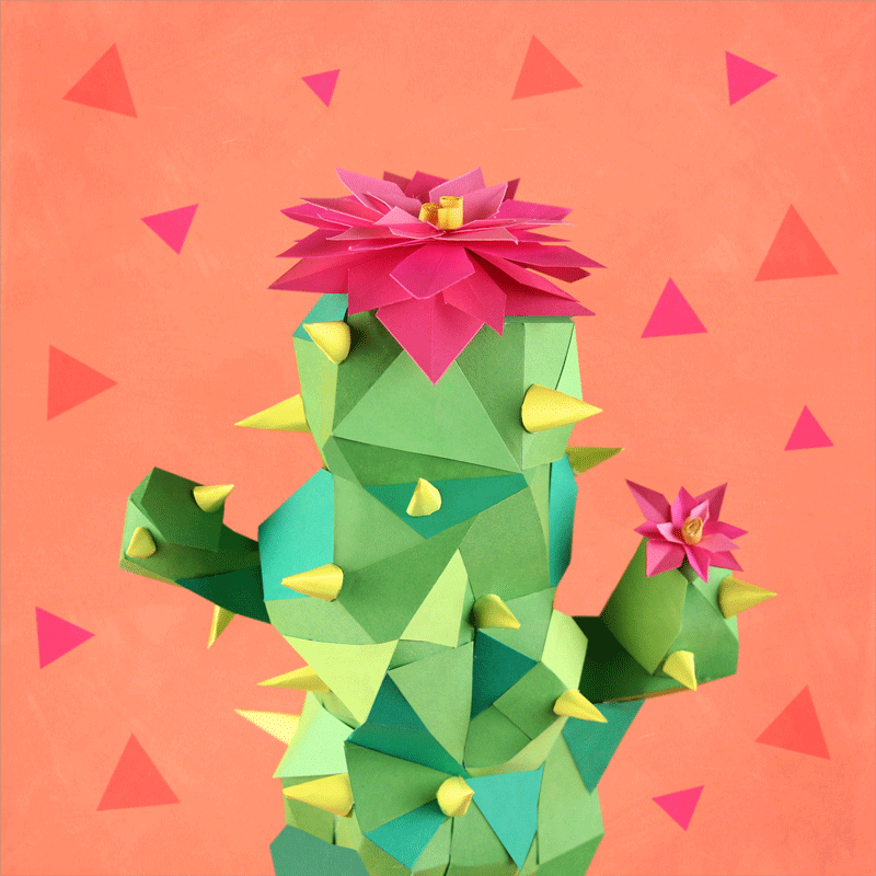 Kunst Animatie Cactus GIF GIFs.nl