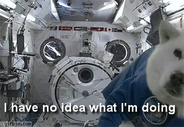 confused-gifs-CdgN7U.gif