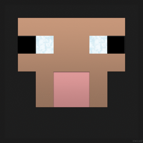 Minecraft GIF GIFs.nl