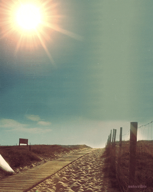 Strand Zomer Surfing GIF GIFs.nl